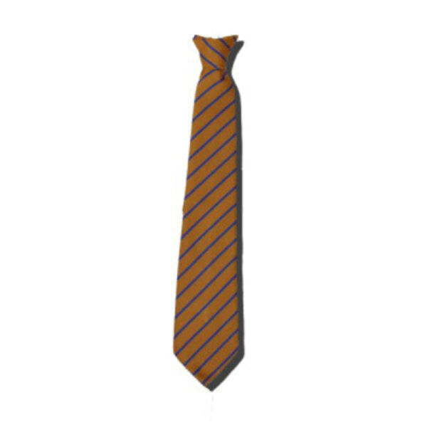 Colfox School Tie Thumbnail